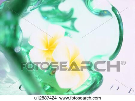 glass, tableware, green, flower View Large Photo Image Picture - glass, tableware, green, flower. Fotosearch