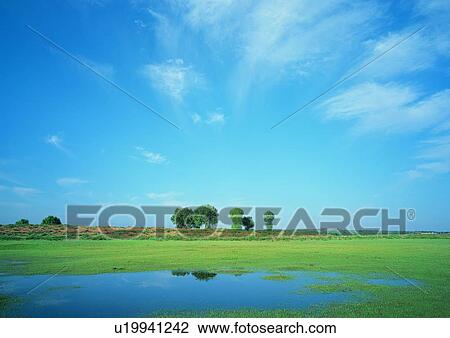 Stock Image - Blue, Cloud, Day, Field, Grassy. Fotosearch