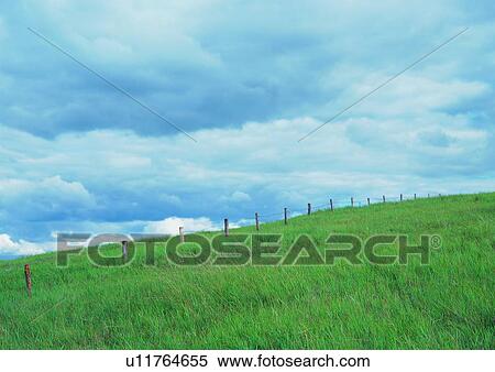 Stock Photography - Cloud, Day, Fence, Field, Grassy. Fotosearch