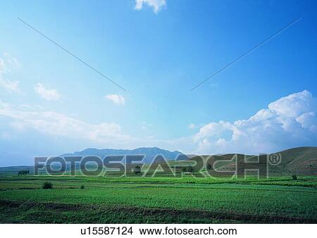 Cloud, Day, Field, Grassy, Greenery View Large Photo Image Picture - Cloud, Day, Field, Grassy, Greenery. Fotosearch