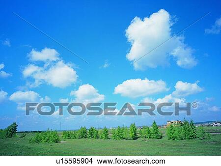 Picture - Cloud, Day, Field, Grassy, Greenery. Fotosearch