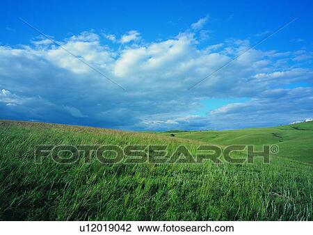 Stock Image - Cloud, Day, Field, Grassy, Greenery. Fotosearch