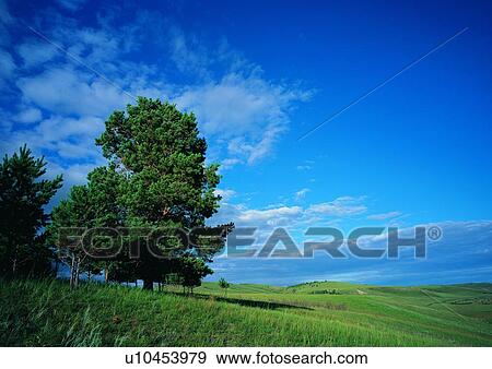 Cloud, Day, Field, Grassy, Greenery View Large Photo Image Stock Photo - Cloud, Day, Field, Grassy, Greenery. Fotosearch