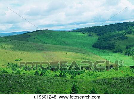 Stock Photo - Cloud, Day, Field, Grassy, Greenery. Fotosearch