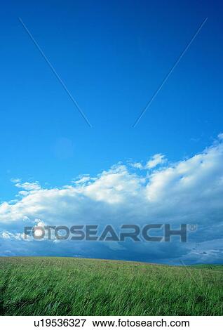 Cloud, Day, Field, Grassy, Greenery View Large Photo Image Stock Photo - Cloud, Day, Field, Grassy, Greenery. Fotosearch
