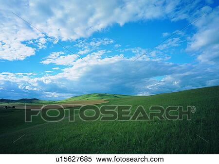 Cloud, Day, Field, Grassy, Greenery View Large Photo Image Stock Photography - Cloud, Day, Field, Grassy, Greenery. Fotosearch