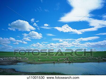 Stock Image - Cloud, Day, Field, Greenery. Fotosearch