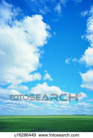 Day, Lush Foliage, Great Plains, Greenery, Shadow, Landscape View Large Photo Image Stock Photo - Day, Lush Foliage, Great Plains, Greenery, Shadow, Landscape. Fotosearch