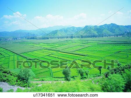Stock Image - Field, Hill Range, Nature, Cultivated, Cloud. Fotosearch