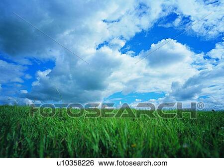 Stock Photograph - Field, Scenics, Lush Foliage, Sky. Fotosearch