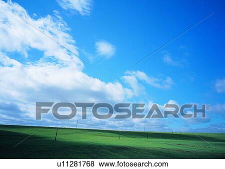 Field, Shadow, Grassy, Meadow, Nature, Great Plains View Large Photo Image Stock Photo - Field, Shadow, Grassy, Meadow, Nature, Great Plains. Fotosearch