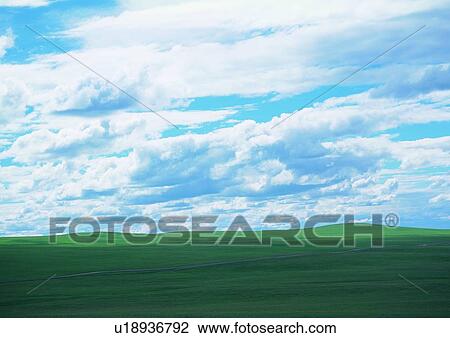 Greenery, Grassy, Outdoor, Cloud, Nature, Sky View Large Photo Image Stock Image - Greenery, Grassy, Outdoor, Cloud, Nature, Sky. Fotosearch