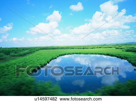 Image Dictionary, Pond, Lush Foliage, Day, Field View Large Photo Image Stock Image - Image Dictionary, Pond, Lush Foliage, Day, Field. Fotosearch