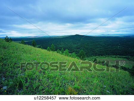 Lush Foliage, Hill, Cloud, Steep, Meadow View Large Photo Image Stock Photo - Lush Foliage, Hill, Cloud, Steep, Meadow. Fotosearch