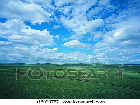 Lush Foliage, Sky, Growth, Plains, Nature View Large Photo Image Stock Photo - Lush Foliage, Sky, Growth, Plains, Nature. Fotosearch