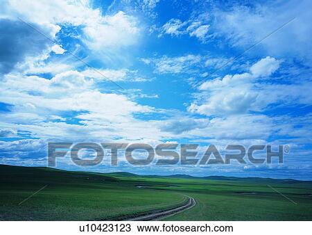 Stock Image - Lush Foliage, Sky, Nature, Trail, Field, Day. Fotosearch