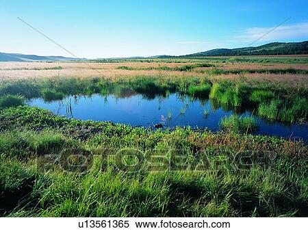 Stock Photography - Plains, Growth, Landscape, Scenics, Cloud, Dense. Fotosearch