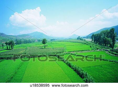 Sky, Growth, Scenics, Cultivated, Hill Range View Large Photo Image Stock Photography - Sky, Growth, Scenics, Cultivated, Hill Range. Fotosearch