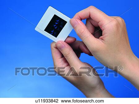 film, holding, transparency, thumb, silde, hand View Large Photo Image Stock Image - film, holding, transparency, thumb, silde, hand. Fotosearch