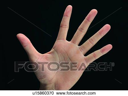 hand, finger, hello, five, open, palm View Large Photo Image Stock Image - hand, finger, hello, five, open, palm. Fotosearch