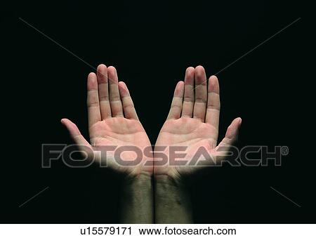 Stock Image - hand, palm, finger, thumb. Fotosearch