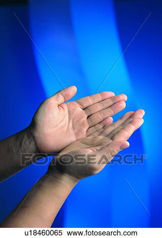 Stock Photography - hand, palm, finger, thumb. Fotosearch