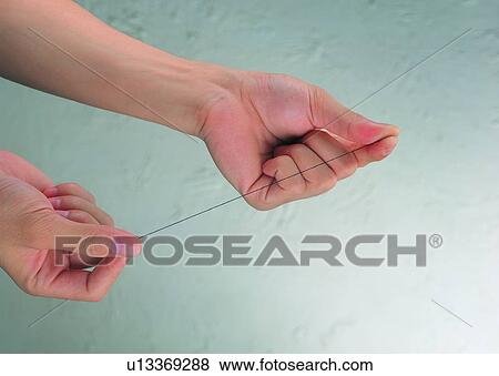 Stock Photo - hand, thumb, string, thread, taut. Fotosearch