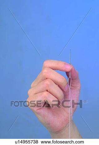 needle, hand, thread, sewing, thumb, thumbnail View Large Photo Image Stock Photo - needle, hand, thread, sewing, thumb, thumbnail. Fotosearch