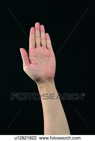 stop, finger, palm, hand, five View Large Photo Image Stock Image - stop, finger, palm, hand, five. Fotosearch