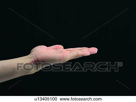 welcome, palm, hand, open, finger View Large Photo Image Stock Image - welcome, palm, hand, open, finger. Fotosearch