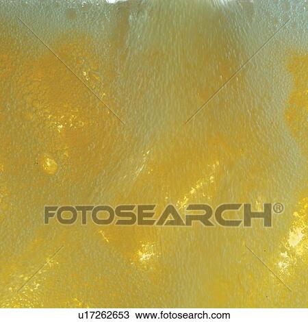 froth, alcoholic, fizz, bubbles, intoxicant, beer, fermented juice View Large Photo Image Stock Image - froth, alcoholic, fizz, bubbles, intoxicant, beer, fermented juice. Fotosearch
