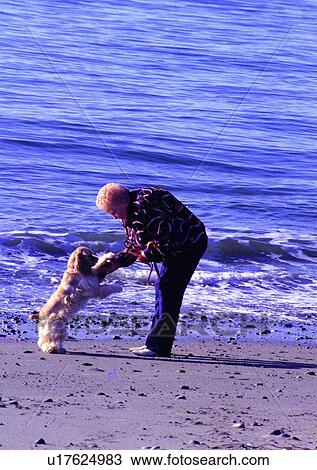 grandmonther, seniorcitizen, warm, grandparens, play, joyful, greybeard View Large Photo Image Stock Image - grandmonther, seniorcitizen, warm, grandparens, play, joyful, greybeard. Fotosearch