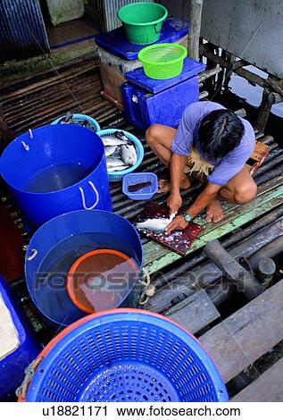 male, clean, kill, fisher, tube, fish View Large Photo Image Stock Image - male, clean, kill, fisher, tube, fish. Fotosearch