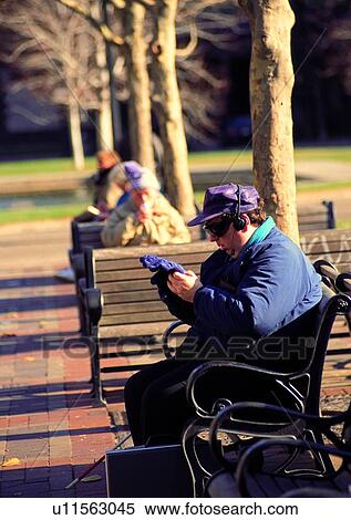 sit, cold, female, read, woman, park View Large Photo Image Stock Photography - sit, cold, female, read, woman, park. Fotosearch