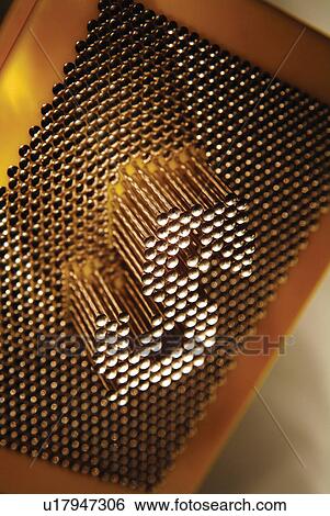 Stock Photograph - Brown, Indoor, Dollar Sign, Close-Up, American Culture. Fotosearch