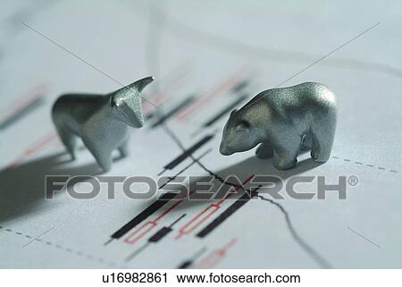 Cattle, Bear, Bull Market, Bull, Bear Market, Chart, Animal View Large Photo Image Stock Image - Cattle, Bear, Bull Market, Bull, Bear Market, Chart, Animal. Fotosearch