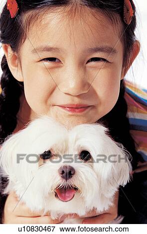 ponytail, child, playful, asian ethnicity, indoor, emotion, head and shoulders View Large Photo Image Stock Photo - ponytail, child, playful, asian ethnicity, indoor, emotion, head and shoulders. Fotosearch
