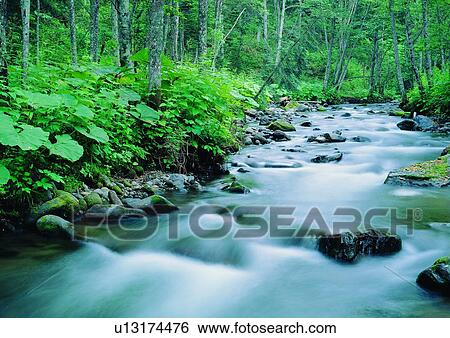 Beauty In Nature, Stream, Flowing Water, Boulder, Water, Landscape, Outdoor View Large Photo Image Stock Photograph - Beauty In Nature, Stream, Flowing Water, Boulder, Water, Landscape, Outdoor. Fotosearch
