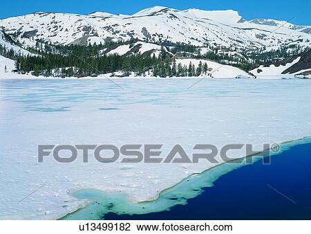 Stock Image - Blue, Cold, Coniferous Tree, Day, Flowing Water. Fotosearch