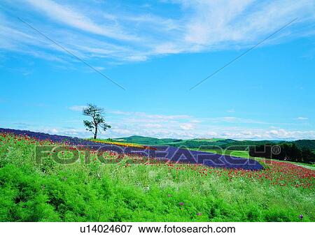 Cloud, Day, Landscape, Outdoor, Sky View Large Photo Image Stock Photo - Cloud, Day, Landscape, Outdoor, Sky. Fotosearch