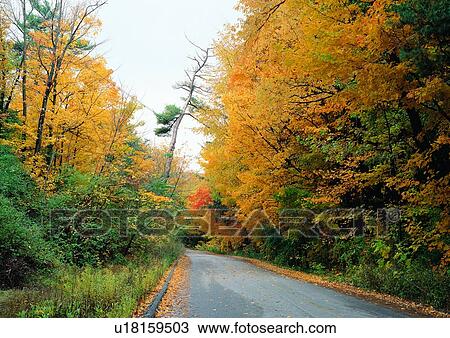 Stock Image - Tree, Nature, Uncultivated, Beauty In Nature, Season, Landscape. Fotosearch