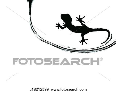 Stock Photo - Black And White, B&W, B/W, Close-Up, Computer Graphic, Crawling, Cut Out. Fotosearch