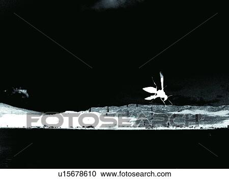 Stock Image - B/W, Indoor, Phobia, Close-Up, Computer Graphic. Fotosearch