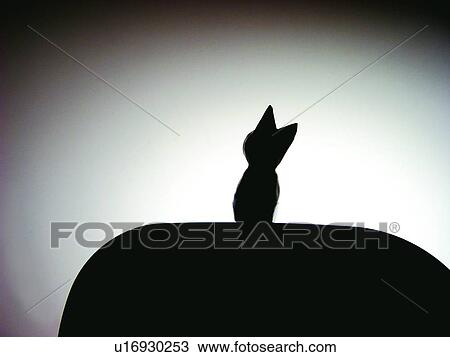 Stock Image - Cat, Dark, Sitting, Colored Background, Figurine, One Animal. Fotosearch