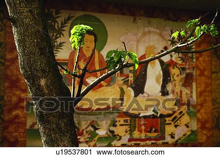 Stock Image - Indoor, Religion, Art, Buddhism, Life Stuff, Leaf. Fotosearch