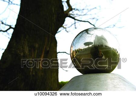 Life, Bowl, Close-Up, Animal Themes, Trunk View Large Photo Image Stock Photograph - Life, Bowl, Close-Up, Animal Themes, Trunk. Fotosearch