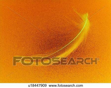 Life Stuff, Vibrant Color, Feather, Animal Themes, Close-Up View Large Photo Image Stock Photo - Life Stuff, Vibrant Color, Feather, Animal Themes, Close-Up. Fotosearch