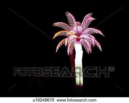 Stock Photo - Light, Decoration, Life, Frond, Glowing. Fotosearch