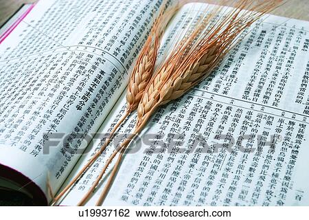 Stock Image - Staple, Dry, Indoor, Text. Fotosearch