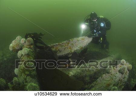 Stock Photo - Anchor from German Battleship Seydlitz, Scapa Flow, Orkney islands, Scotland, UK. Fotosearch